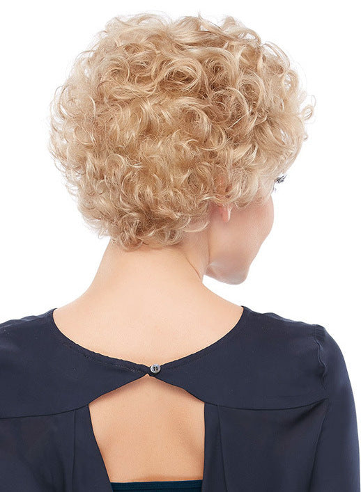 Women's Personality Hairstyle Chemical Fiber Afro Wig Short Curly Hair