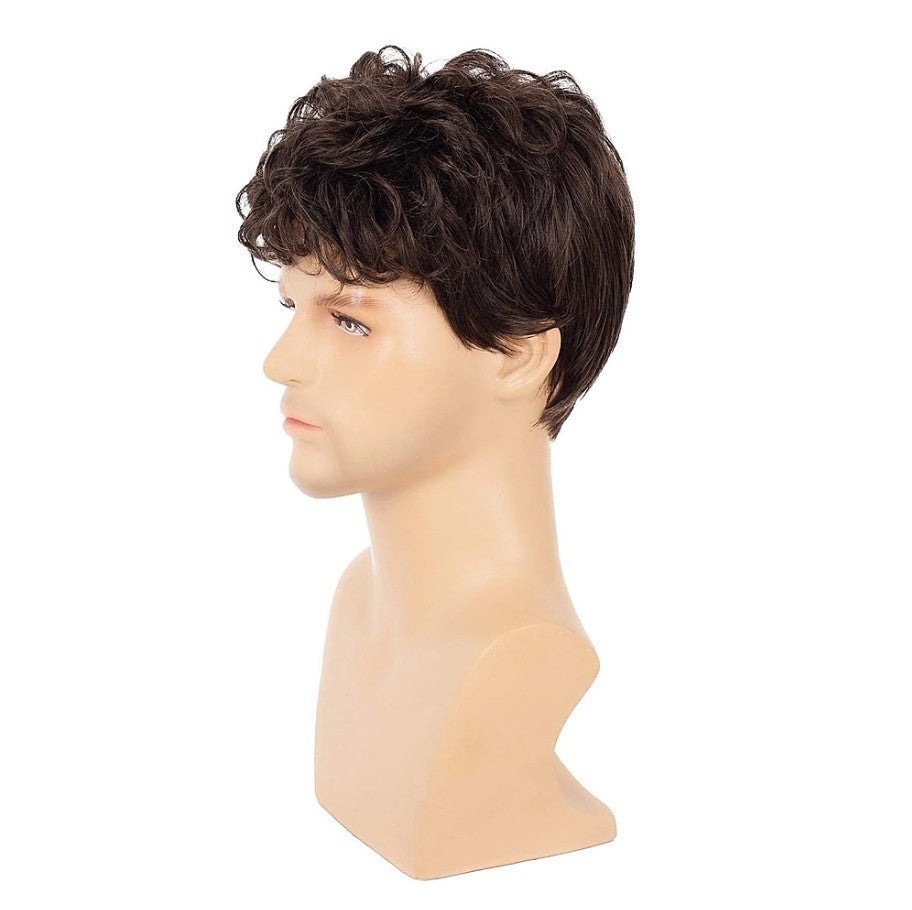 Men's Hair Brown Fashion Short Curly Fluffy Synthetic Men's Wig