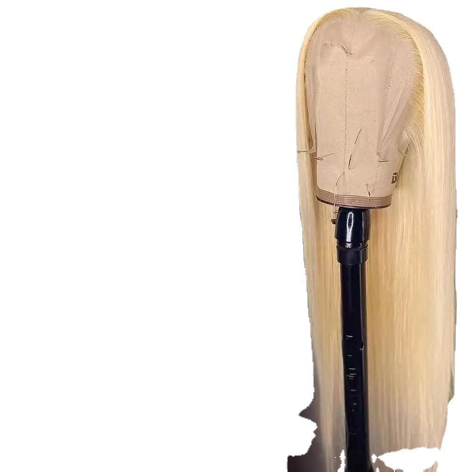 Women's Lace Hair Dark Brown Fiber Synthetic Long Straight Wig