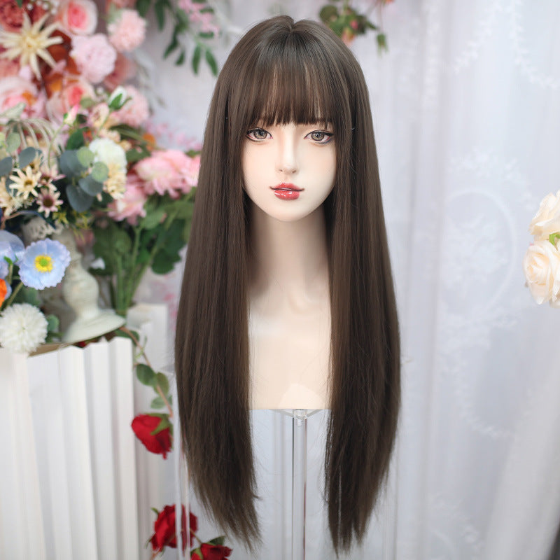 Women's Long Hair Straight Natural Simulation People Air Other Wig
