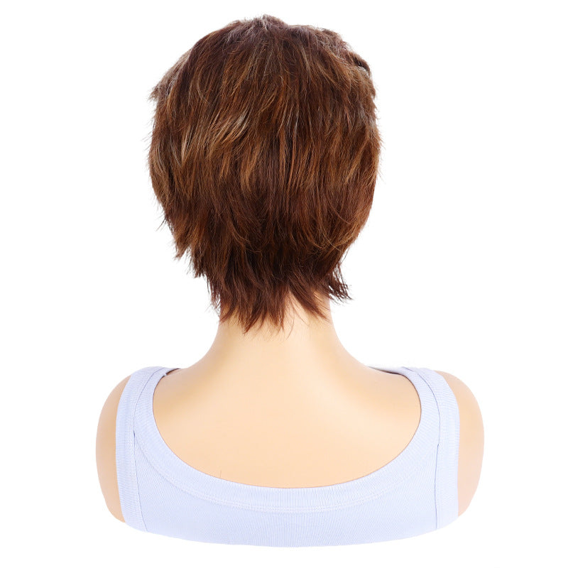 Women's Brown Fashion Hedgehog Head Cover Daily Wig Short Straight Hair