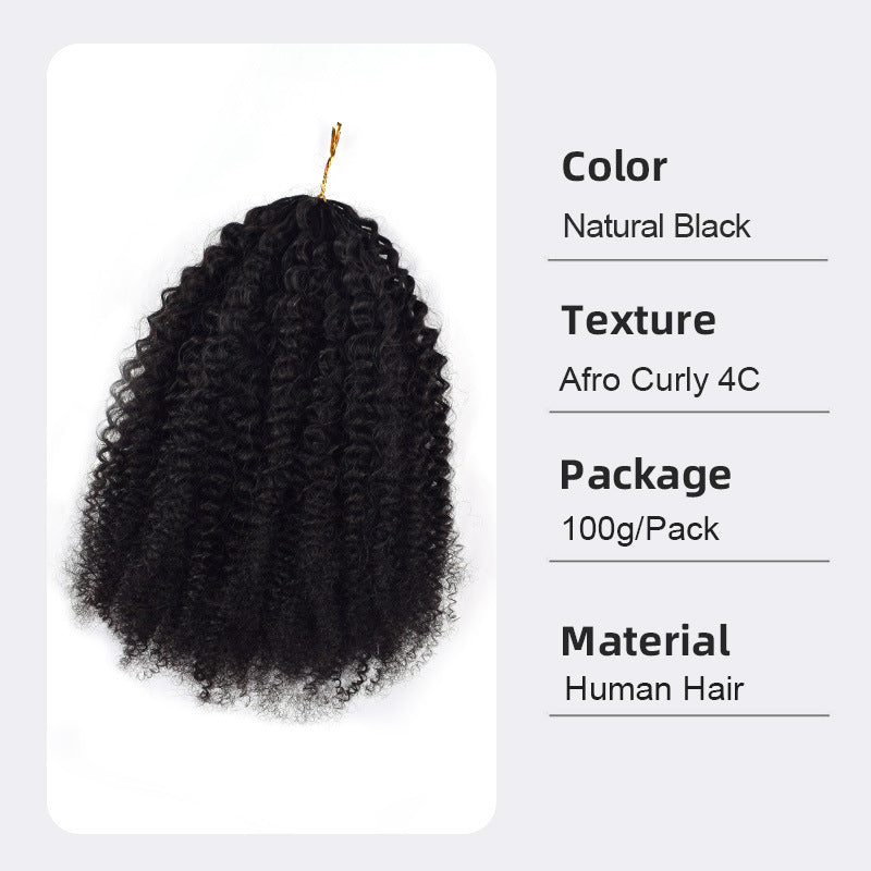 Attractive Classic Crochet Human Vietnam Full Real Hair Wig