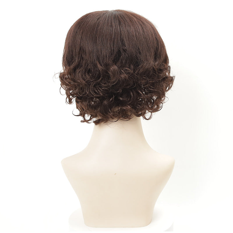 Women's Wool Sheath Natural Realistic Mechanism Head Wig Short Curly Hair