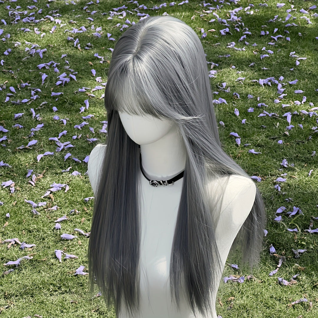 Women's Gray With Bangs Hair Daily Party Long Straight Wig