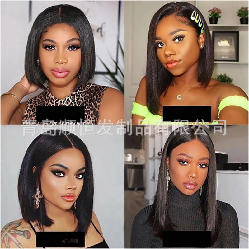 Women's Temperament Mid-length Front Lace Chemical Fiber Mesh Wig Short Straight Hair