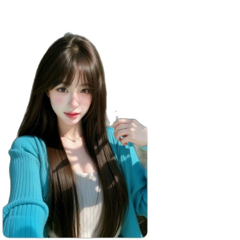 Need To Wear Hair Net Full Head Female Fluffy Increase Long Straight Wig