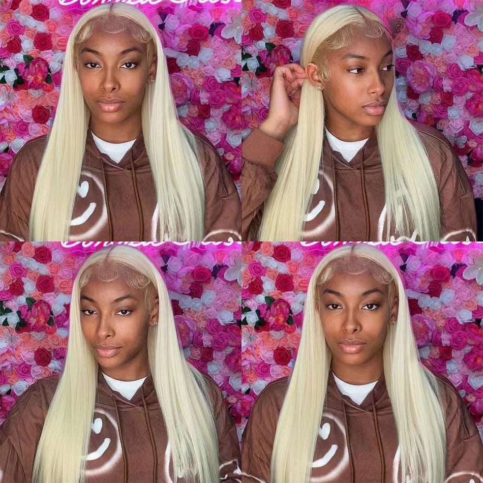Women's Black Front Lace Sheath African Hair Long Straight Wig
