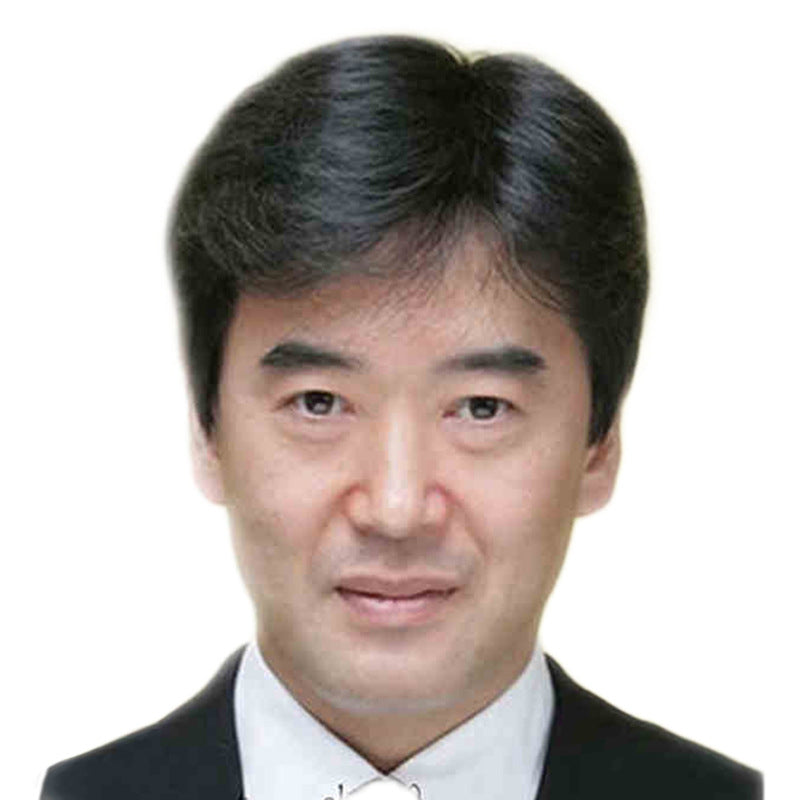 Men's Human Hair Cover Gray Extra Volume Men's Wig
