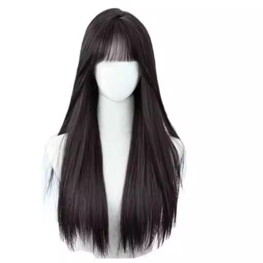 Women's Hair Fashion Black Artificial Head Cover Long Straight Wig