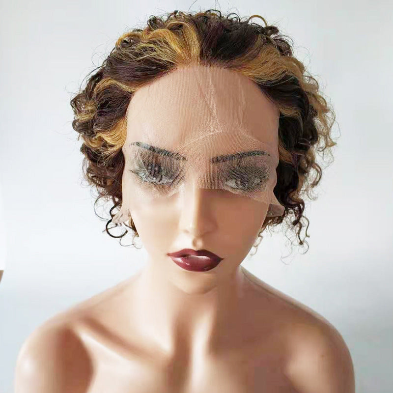 Pixie Cut Lace Wigs Human Shor Wig Short Curly Hair