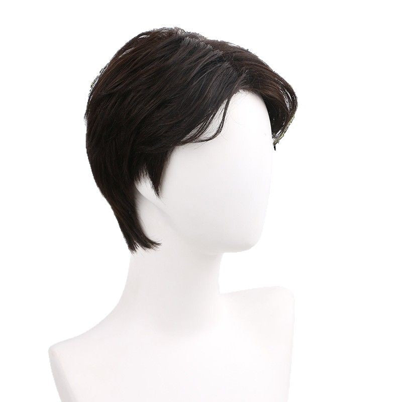 Men's Short Hair Korean Style Handsome Bangs Fluffy Natural Realistic Fashion Men's Wig