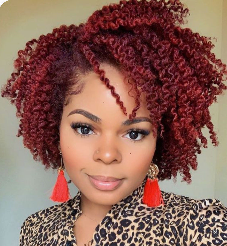 African Wigs With Small Female Partial Wig Short Curly Hair