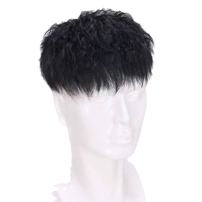 Men's Hair Natural Light All Real Top Supplementing Piece Fluffy Texture Men's Wig