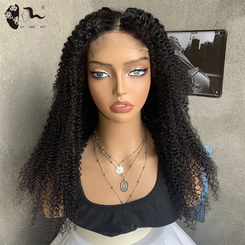 African Curly Hair Mixed Female Head Wig Long Curls