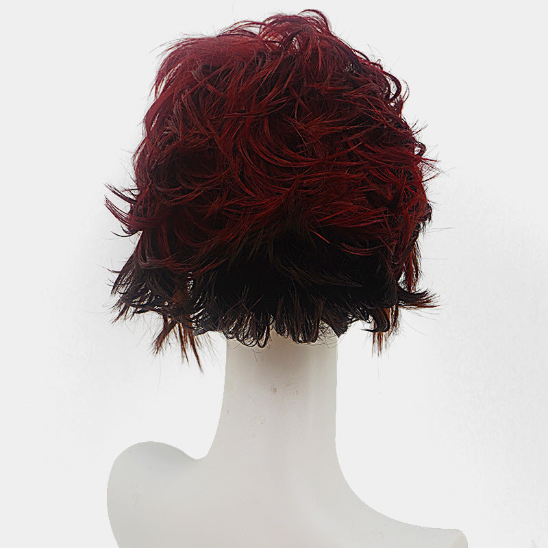 Anime No Stove Door Head Cover Cos Wig