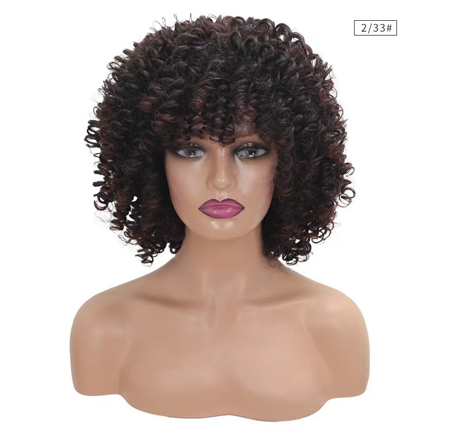 Women's Sheath African Small Full Gradient Color Wig Short Curly Hair