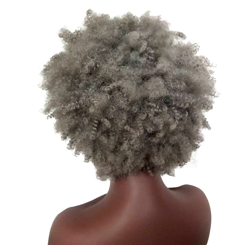 Women's African Wigs With Small Sier White Wig Short Curly Hair