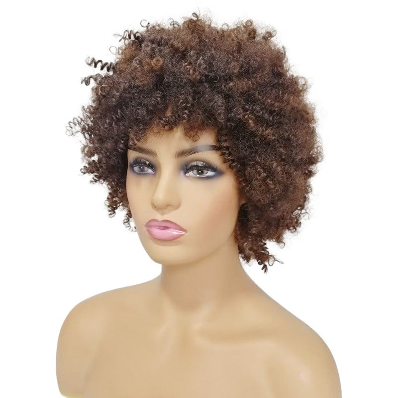 Women's African Small Fluffy Mixed Color Piece Of With Wig Short Curly Hair
