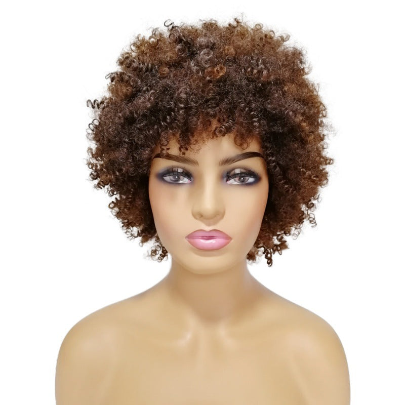 Women's African Small Fluffy Mixed Color Piece Of With Wig Short Curly Hair