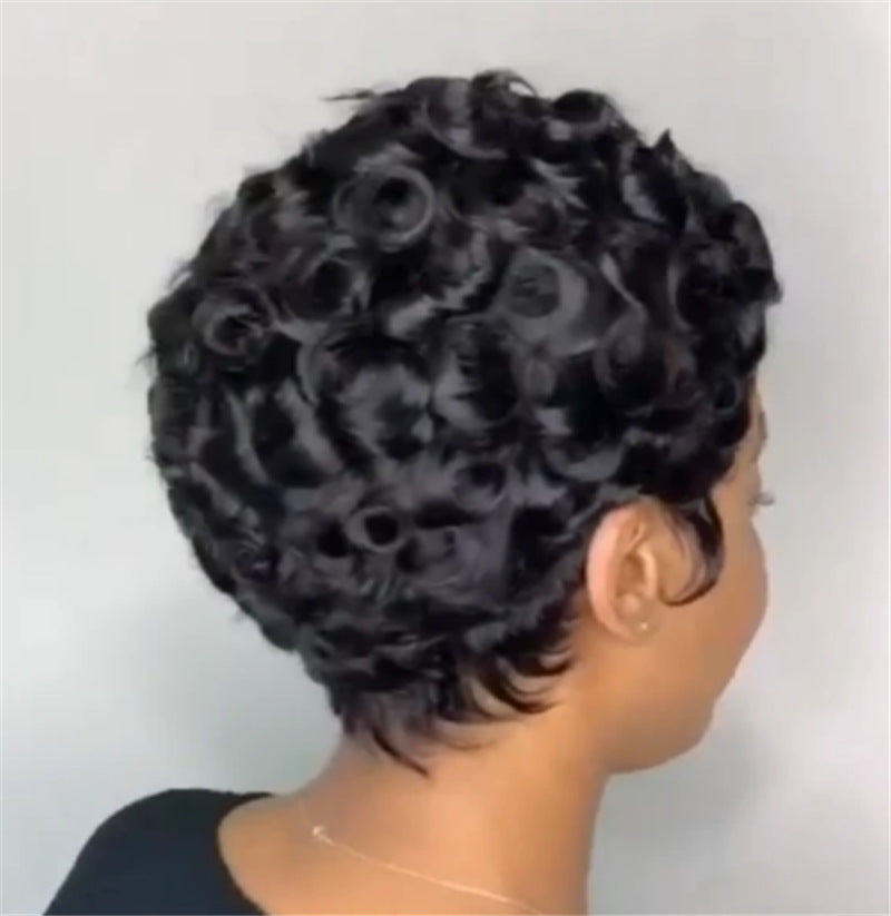 New Women's African Small Synthetic Wigs Wig Short Curly Hair