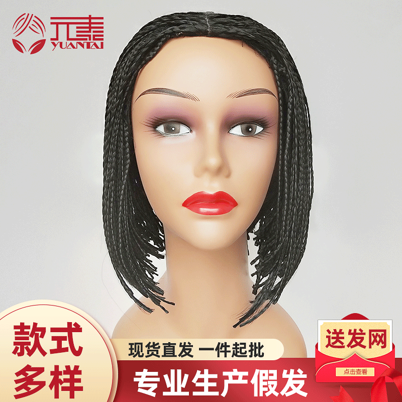 Graceful Women's Small Braid Synthetic Wigs Wig Long Curls