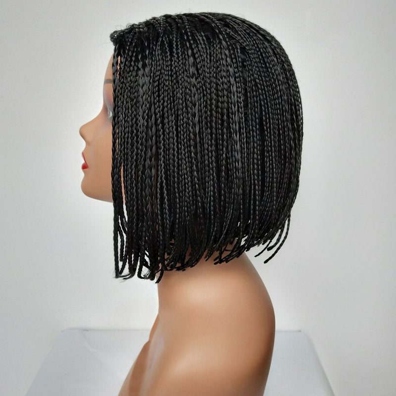 Graceful Women's Small Braid Synthetic Wigs Wig Long Curls