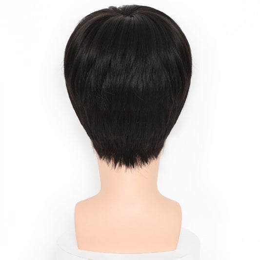 Men's Style Handsome Synthetic Wigs Matte Natural Fluffy Long-lasting Texture Hot Men's Wig