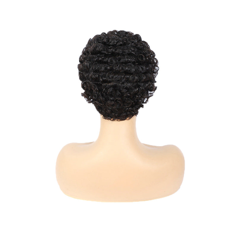 Women's Fashion Trend African Small Roll Black Rose Wig Short Curly Hair