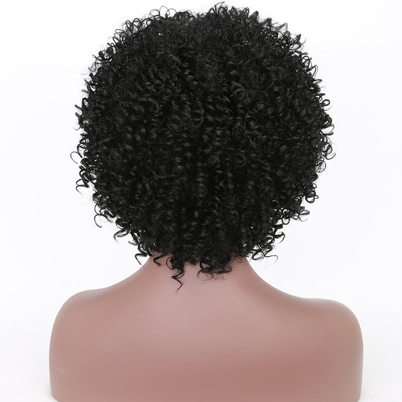 Curly Hair Head Cover Fiber Female Natural Black African Small Long Straight Wig