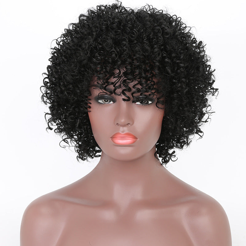 Curly Hair Head Cover Fiber Female Natural Black African Small Long Straight Wig