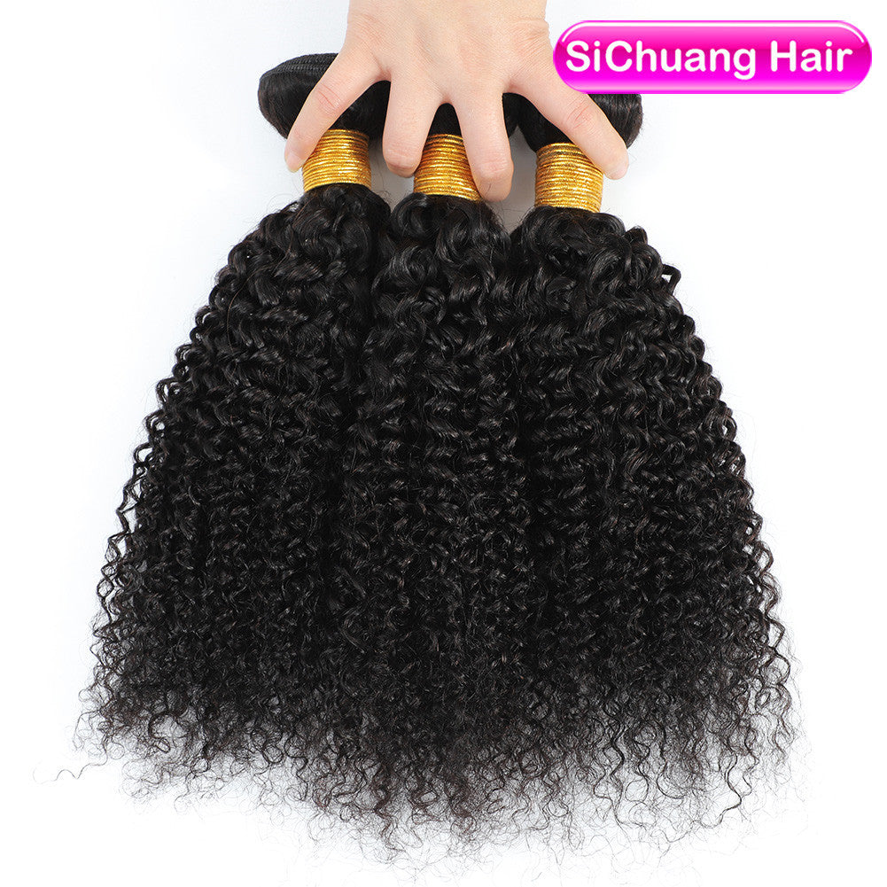 Human Wigs Hair Weft African Fashion Wig Long Curls