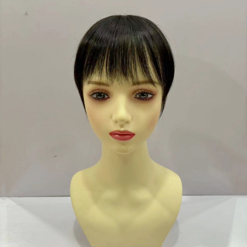 Women's Hair Supplementing Piece Short Straight All Increased Volume Covering Wig