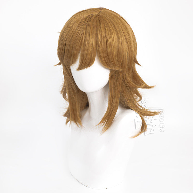 The Legend Of Moon Link Artificial Cos Wig