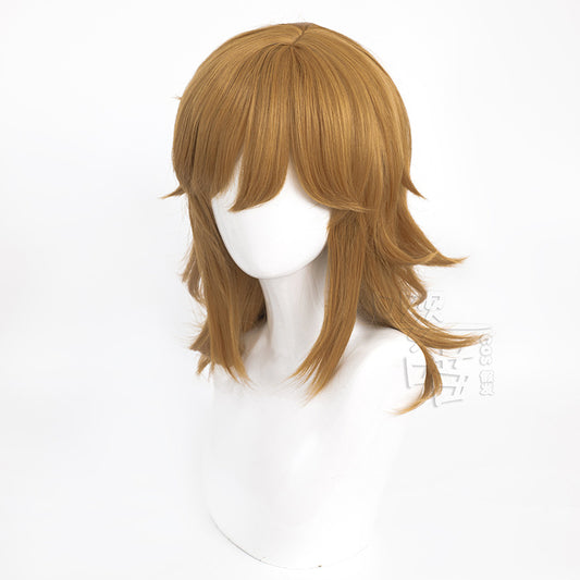 The Legend Of Moon Link Artificial Cos Wig