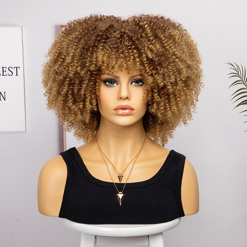 Women's African Fashion Explosion Small Head Cover Wig Short Curly Hair