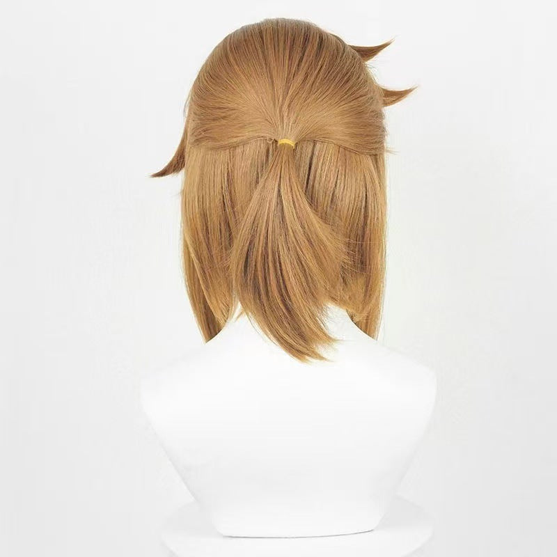 Princess Zelda Breath Of The Wild Link Simulation Cos Wig