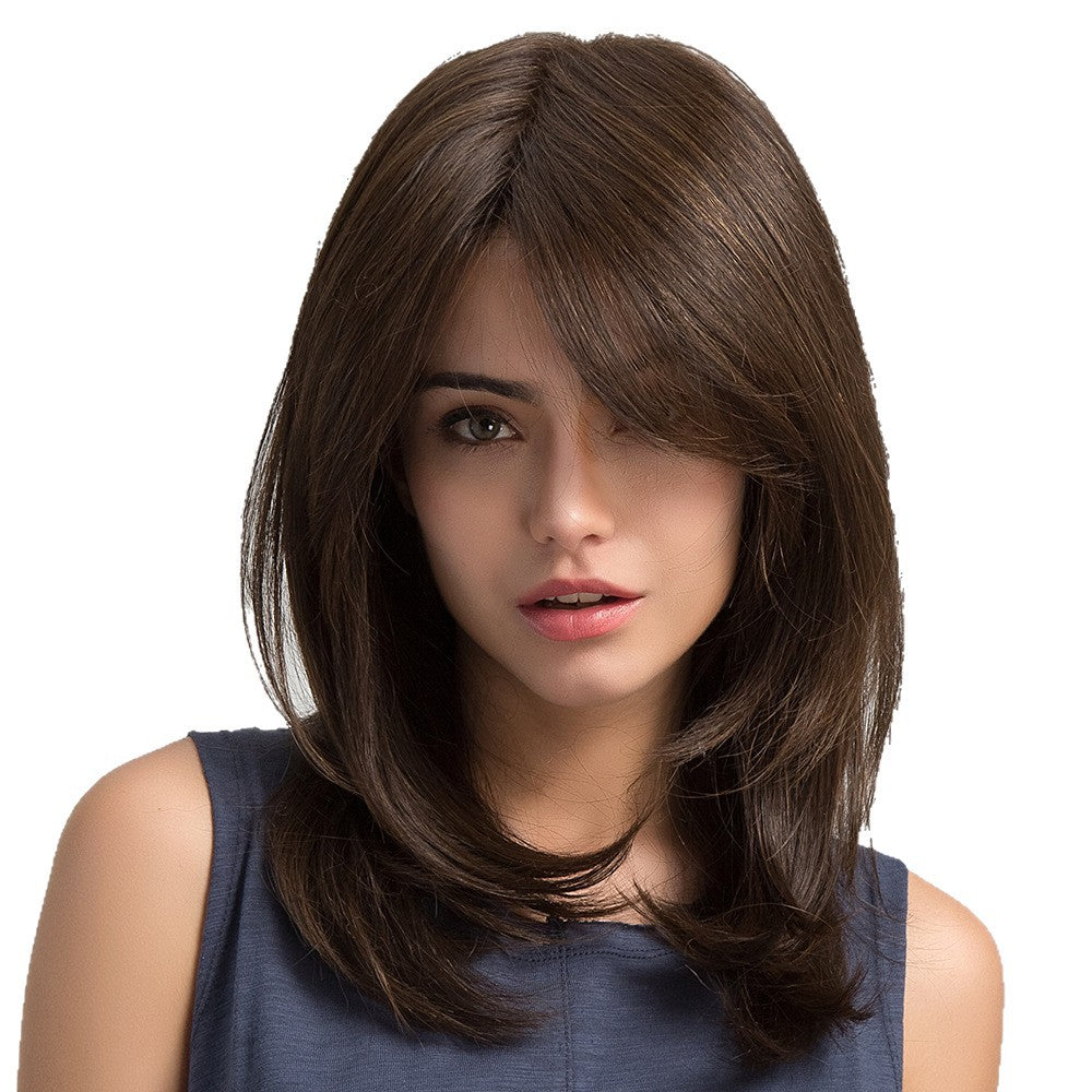 Brown Partial Hair Matte Fiber Age Reducing High Level Collarbone Long Straight Wig