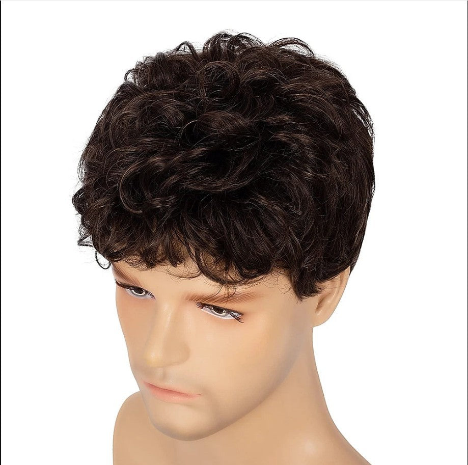 Men's Hair Brown Fashion Short Curly Fluffy Synthetic Men's Wig