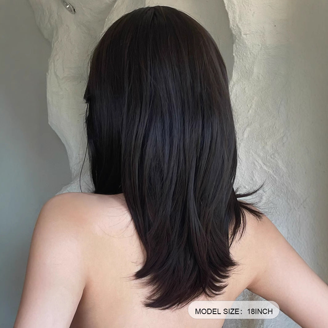 Bangs Black Brown Hair High Temperature Long Straight Wig