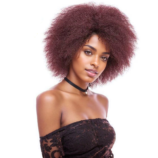 Women's & Men's Afro Fluffy Short Curly Black Dark Brown Cos Wig