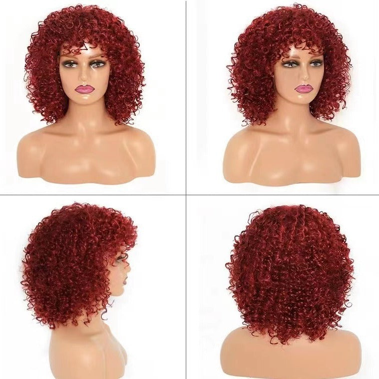 Attractive Charming Graceful Stylish Black Afro Wig Short Curly Hair