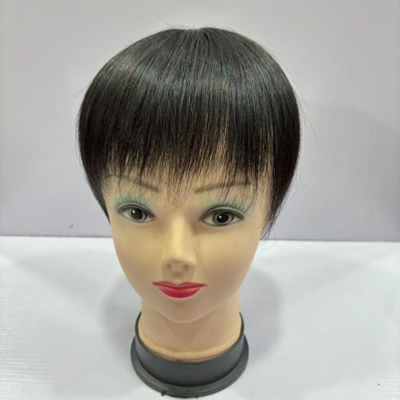Straight Hair Supplementing Piece Cover Gray Extra Large Size Simulation Wig