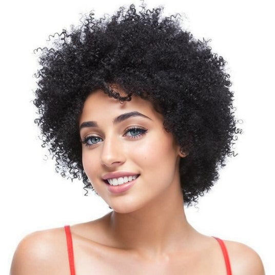 Women's African Small Fluffy Mixed Color Piece Of With Wig Short Curly Hair