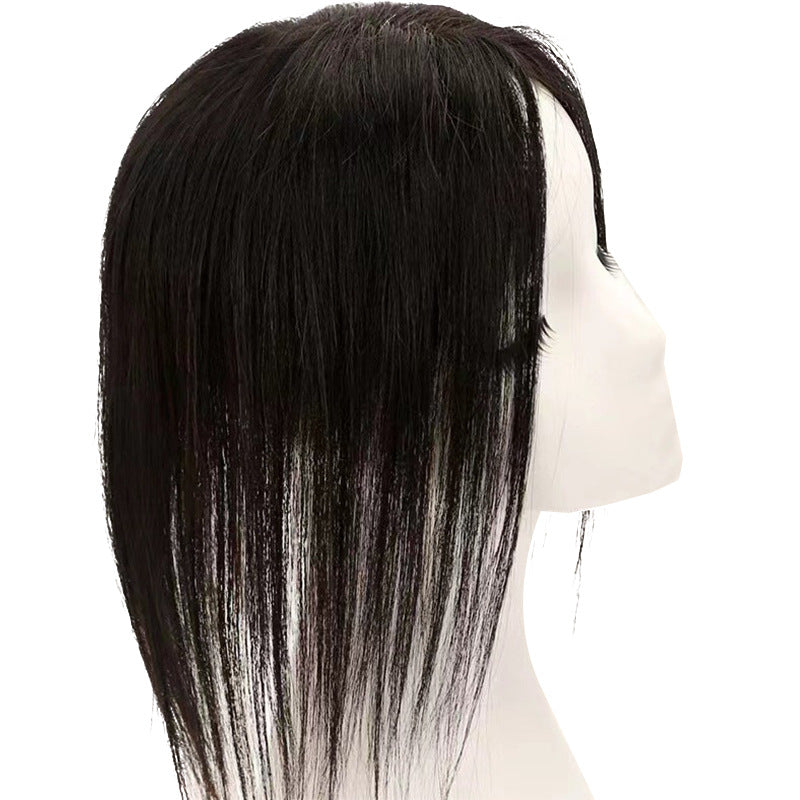 Women's Swiss Net Set Top Covering Seam All Daily Extra Volume Real Hair Wig