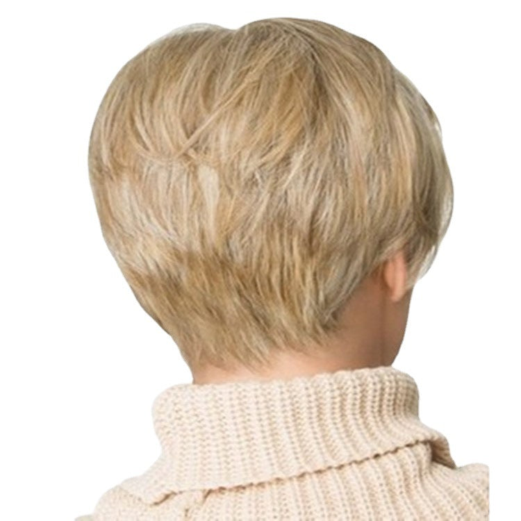 Elegant Charming Women's Golden Set Fashion Wig Short Straight Hair