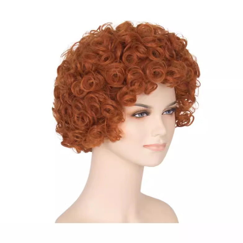 Women's Brown African Small Fluffy Style Wig Short Curly Hair
