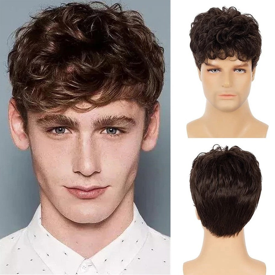 Men's Hair Brown Fashion Short Curly Fluffy Synthetic Men's Wig