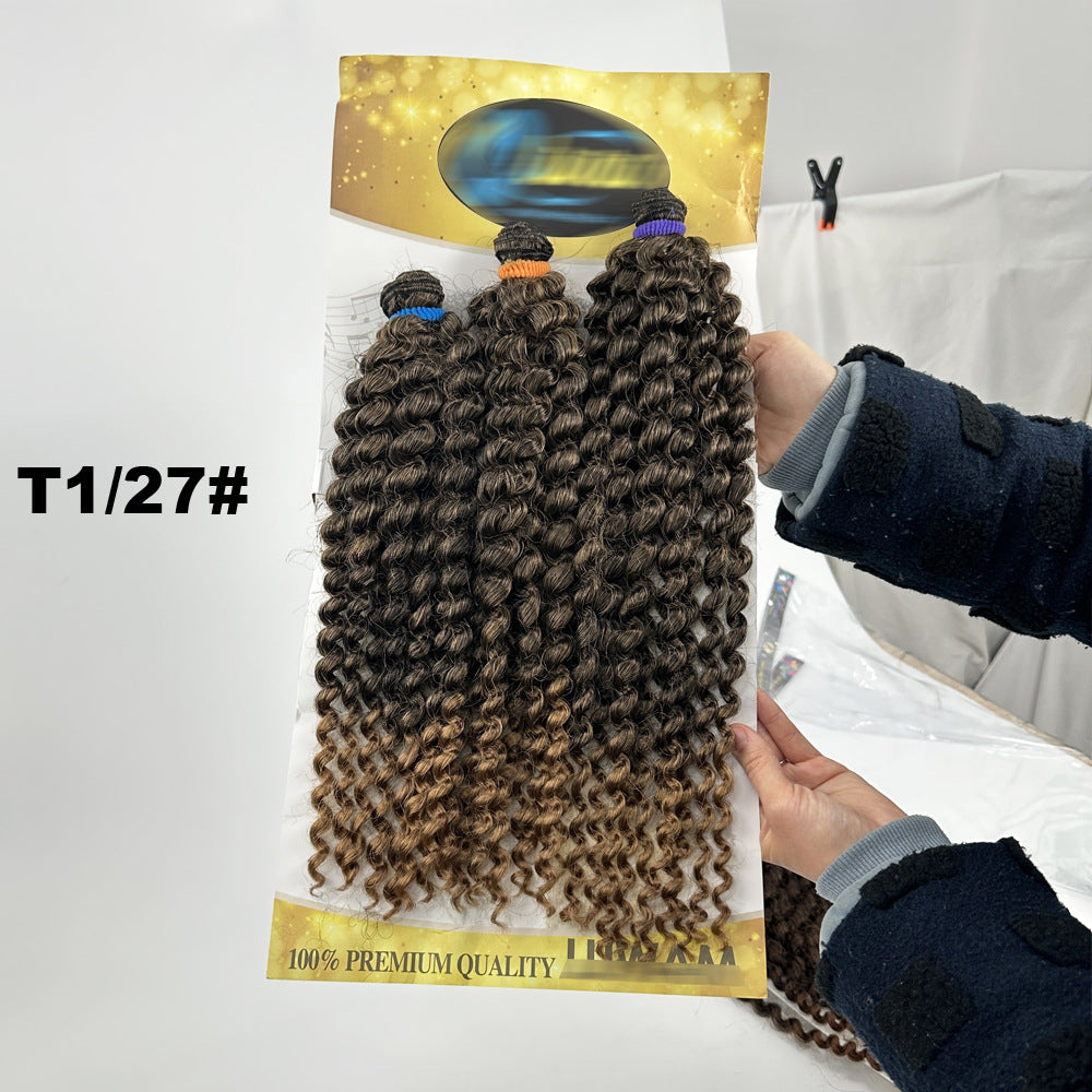 Women's High Quality African Weft Long Curly Hair Other Wig