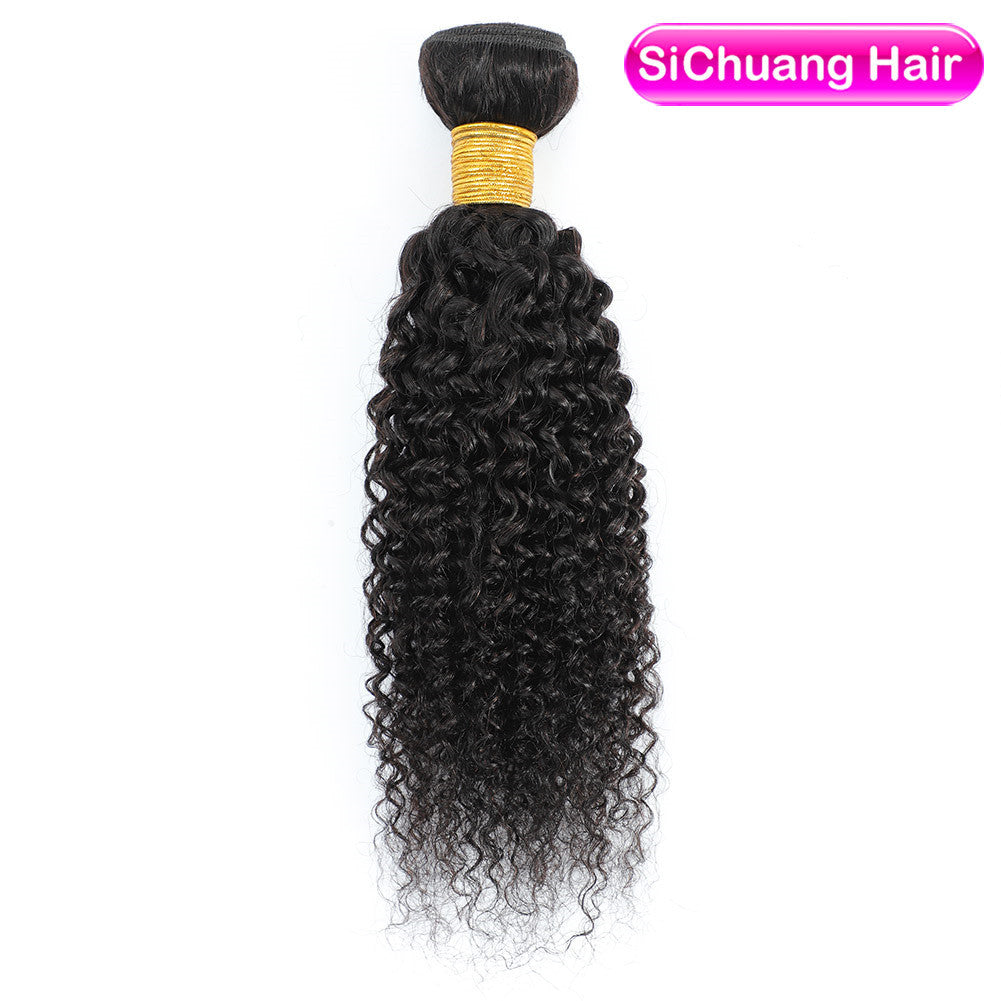 Human Wigs Hair Weft African Fashion Wig Long Curls