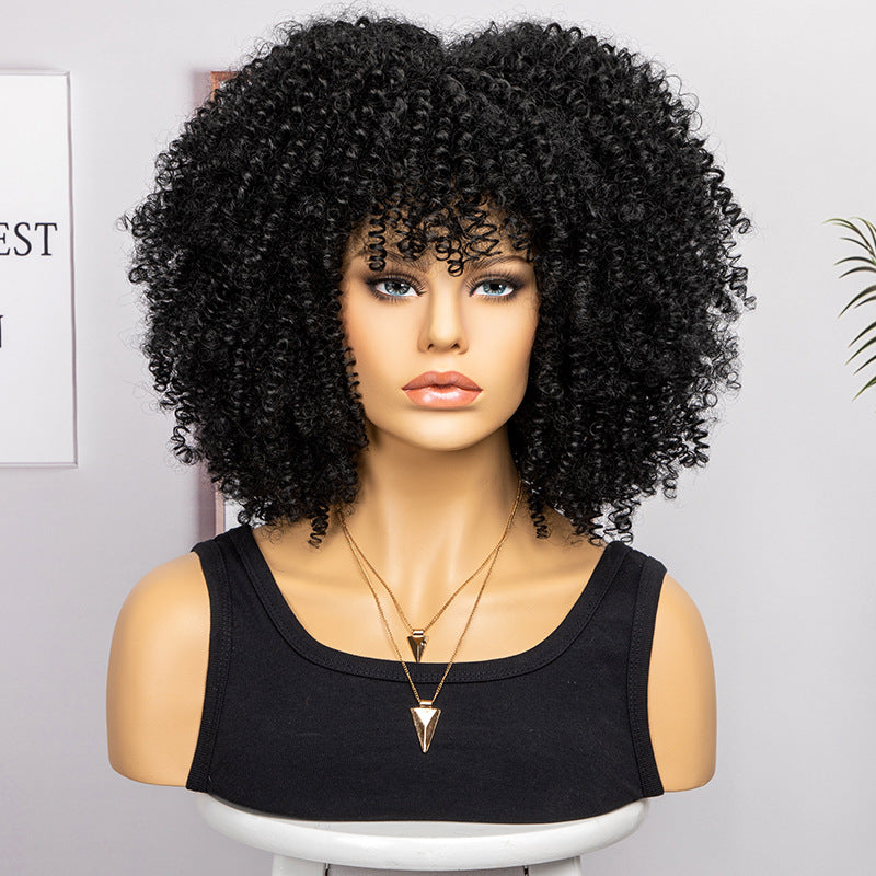 Women's African Fashion Explosion Small Head Cover Wig Short Curly Hair